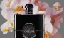 Đánh Giá YSL Black Opium Le Parfum | Hương Cà Phê Va ni Huyền Thoại