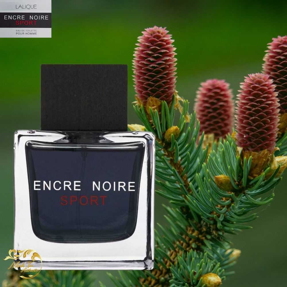 Nước hoa Nam Lalique Encre Noire Sport EDT