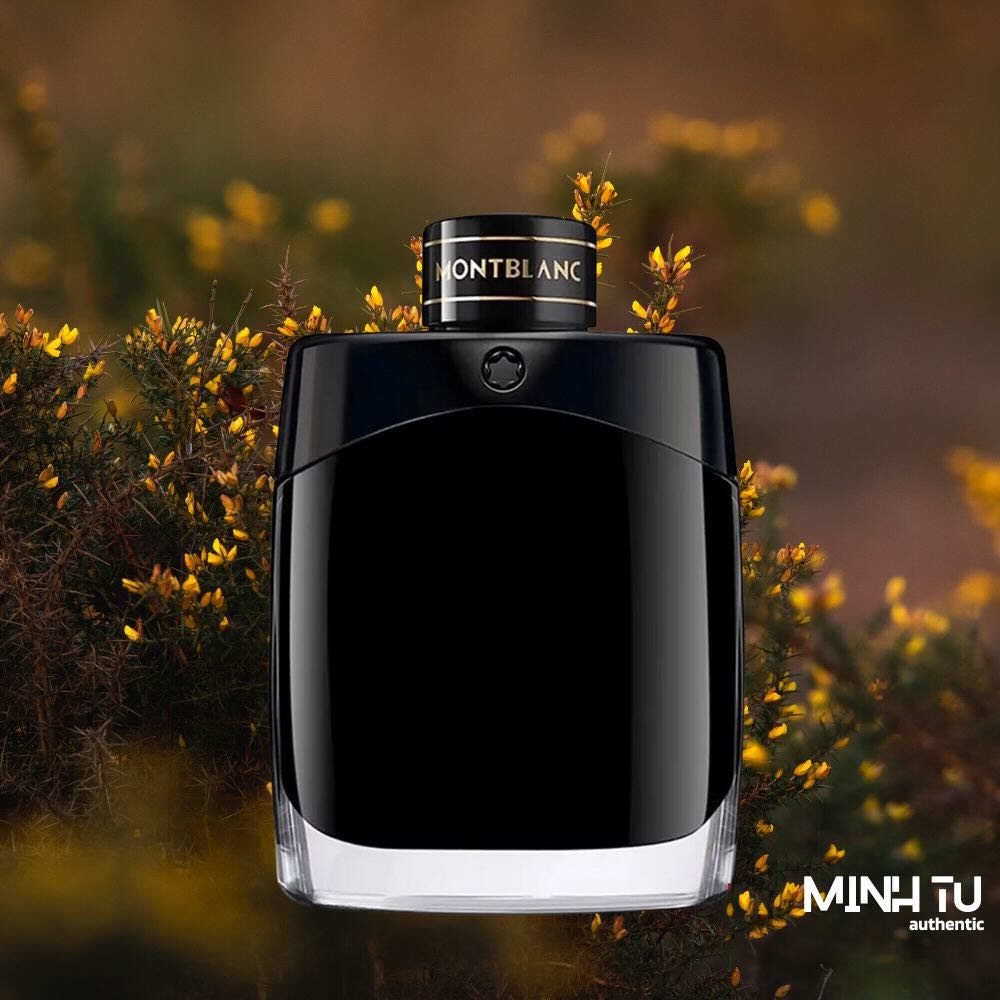 Nước Hoa Nam Montblanc Legend EDP