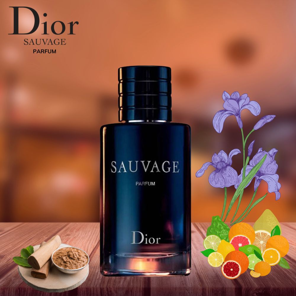 Amazoncom Christian Dior Sauvage Elixir Men EDC Spray 2 oz  Everything  Else