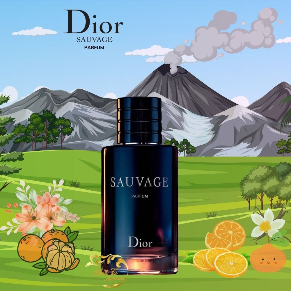 Nước hoa Nam Dior Sauvage Parfum